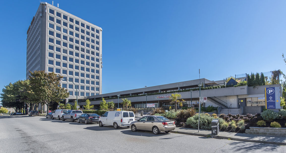 Trees and shrubs next to the tall building