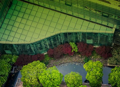 A green modern building among the trees