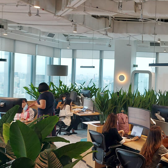 Employees in an open space full of green plants