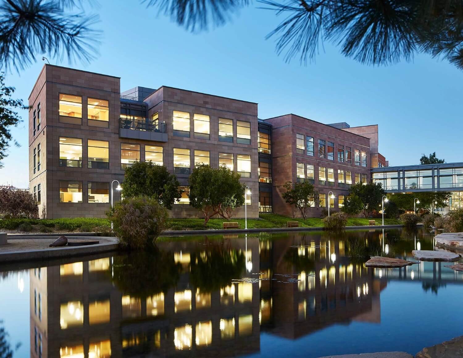 View of the pool next to the Illumina building