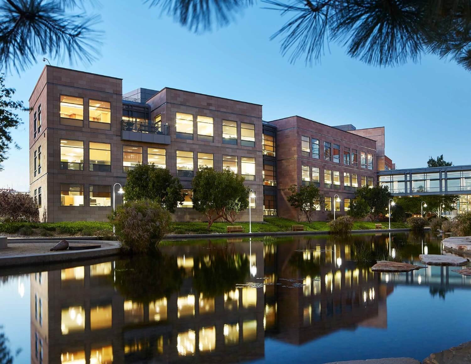 View of the pool next to the Illumina building