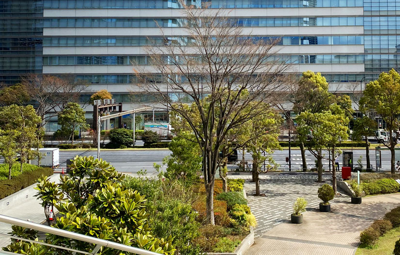 Green area with an office building