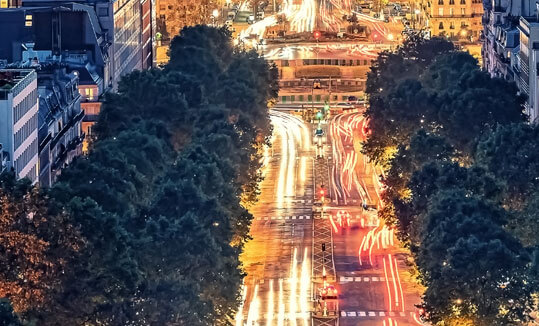 Illuminated streets between trees at night
