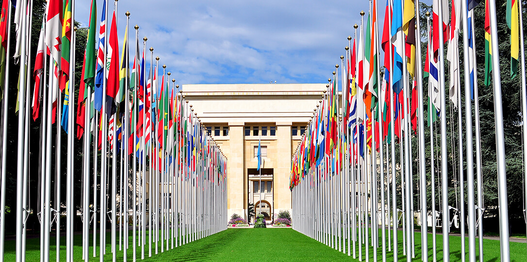 The avenue of flags leading to the building