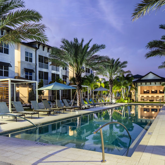 Hotel pool with palm trees in the background