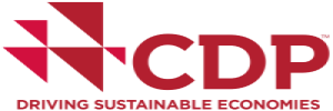 CDP logo