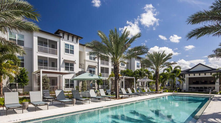 Sun loungers lined up among palm trees over the open pool